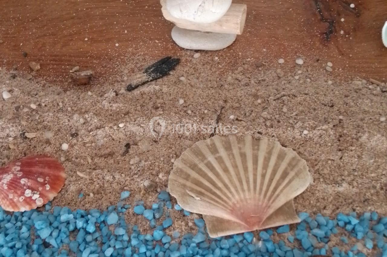 Coquillages disposés sur du sable avec des gravillons bleus, photo de deux personnes souriantes en arrière-plan.