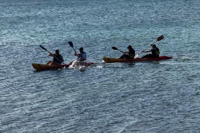 Miniature Cohésion sur le Terrain Les Pieds dans l'Eau Salle de massage tamisée avec deux tables recouvertes de draps bruns et une décoration murale apaisante.