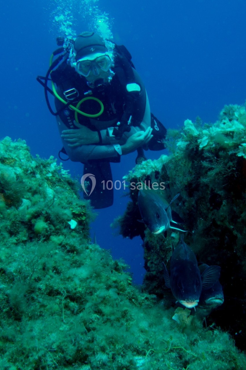 Un plongeur explore un fond marin rocheux entouré de végétation et de poissons.