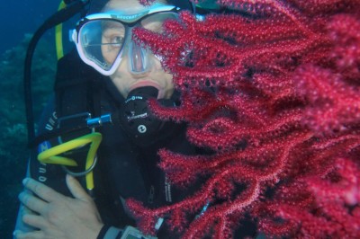 Un plongeur explore un fond marin rocheux entouré de végétation et de poissons.