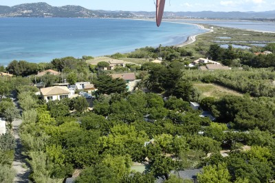 Un plongeur explore un fond marin rocheux entouré de végétation et de poissons.