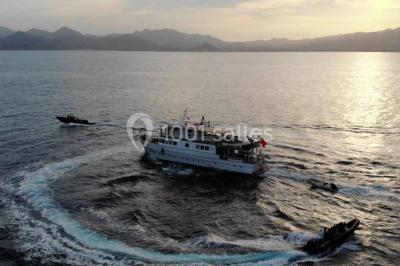 Un bateau à moteur tracte une bouée gonflable sur une mer calme, avec un yacht et une côte boisée en arrière-plan.
