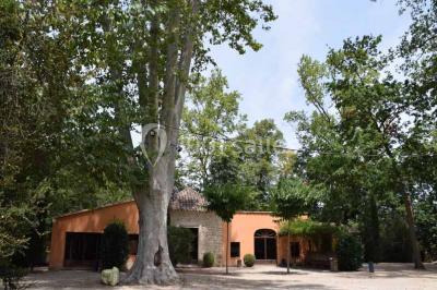 Location salle La Roque-d'Anthéron (Bouches-du-Rhône) - La Bergerie de Florans #12