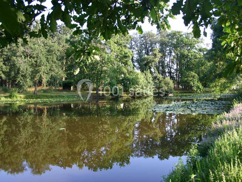 Étang entouré d'arbres avec des nénuphars à la surface et des plantes en bordure sous un ciel dégagé.