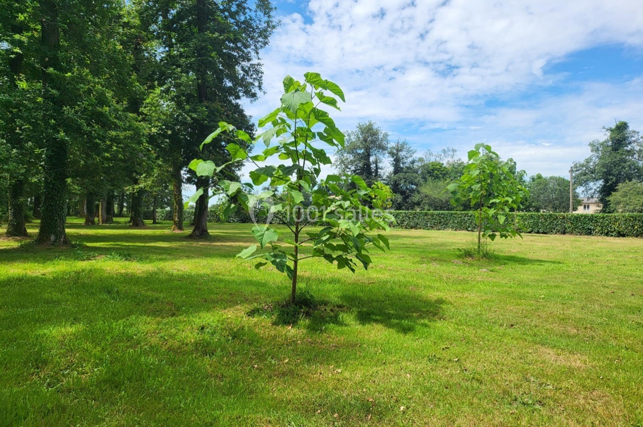 Location salle Chaumes-en-Retz (Loire-Atlantique) - Château de Noirbreuil #24 Jeunes arbres plantés dans un parc verdoyant sous un ciel partiellement nuageux.