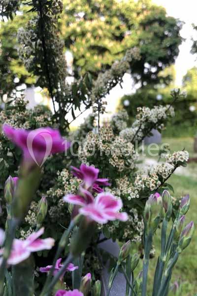 La Lanterne - galerie - photo 12