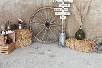 Miniature Location salle Bazoches-en-Dunois (Eure-et-Loir) - Ferme des Festivités #14 Décoration champêtre avec panneaux directionnels, fleurs, et accessoires pour un événement en extérieur.