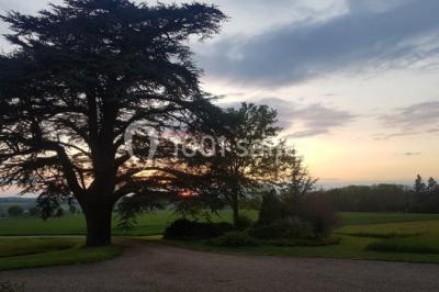 Château De Montdoucet