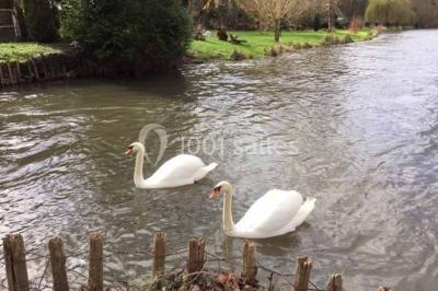 Miniature Location salle Saint-Vigor (Eure) - Le Domaine De Saint Vigor #7 Location salle Saint-Vigor (Eure) - Le Domaine De Saint Vigor #24
