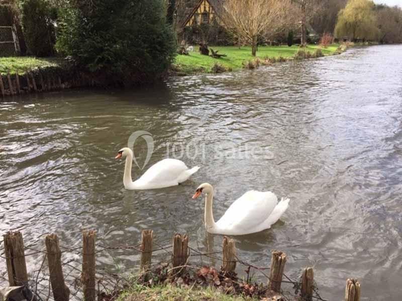Location salle Saint-Vigor (Eure) - Le Domaine De Saint Vigor #7