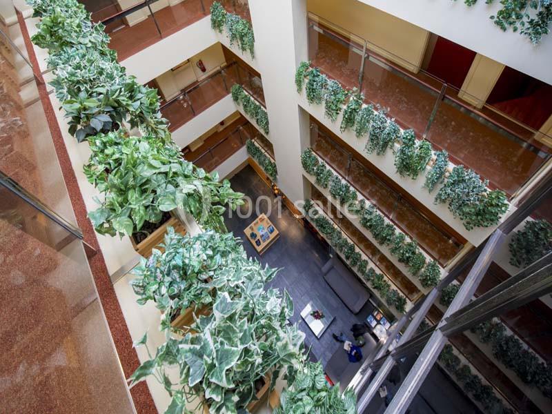 Hôtel Font D'argent Canillo - galerie - photo 4