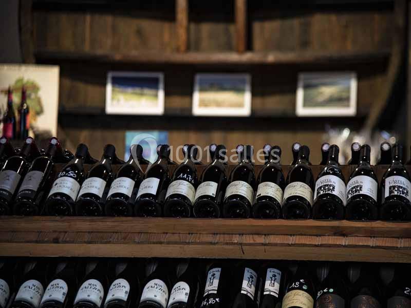 Location salle Lattes (Hérault) - Mas Saporta - Maison des Vins du Languedoc #9