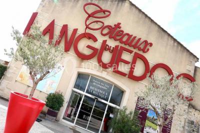 Miniature Location salle Lattes (Hérault) - Mas Saporta - Maison des Vins du Languedoc #7 Location salle Lattes (Hérault) - Mas Saporta - Maison des Vins du Languedoc #12