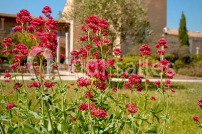 Miniature Location salle Lattes (Hérault) - Mas Saporta - Maison des Vins du Languedoc #6 Location salle Lattes (Hérault) - Mas Saporta - Maison des Vins du Languedoc #12