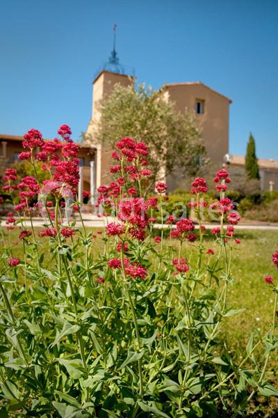 Location salle Lattes (Hérault) - Mas Saporta - Maison des Vins du Languedoc #6