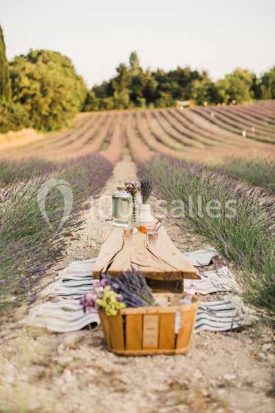 Location salle Aix-en-Provence (Bouches-du-Rhône) - Domaine Terre Ugo #19