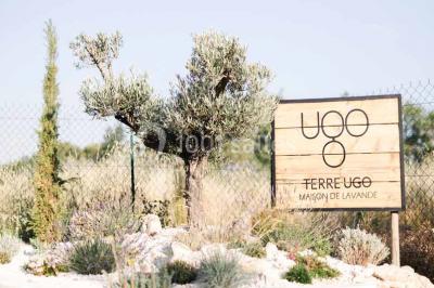 Location salle Aix-en-Provence (Bouches-du-Rhône) - Domaine Terre Ugo #23