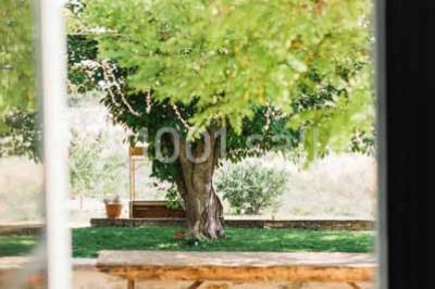 Miniature Location salle Aix-en-Provence (Bouches-du-Rhône) - Domaine Terre Ugo #13 Location salle Aix-en-Provence (Bouches-du-Rhône) - Domaine Terre Ugo #21