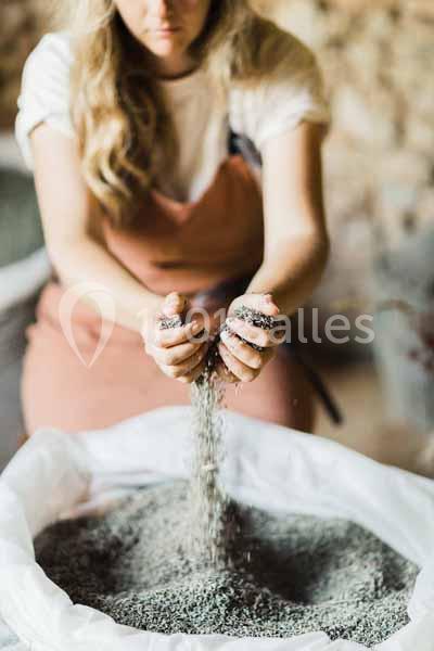 Location salle Aix-en-Provence (Bouches-du-Rhône) - Domaine Terre Ugo #21 Location salle Aix-en-Provence (Bouches-du-Rhône) - Domaine Terre Ugo #21