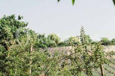 Miniature Location salle Aix-en-Provence (Bouches-du-Rhône) - Domaine Terre Ugo #20 Location salle Aix-en-Provence (Bouches-du-Rhône) - Domaine Terre Ugo #21