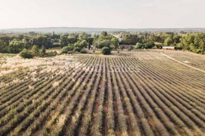 Miniature Location salle Aix-en-Provence (Bouches-du-Rhône) - Domaine Terre Ugo #3 Location salle Aix-en-Provence (Bouches-du-Rhône) - Domaine Terre Ugo #21