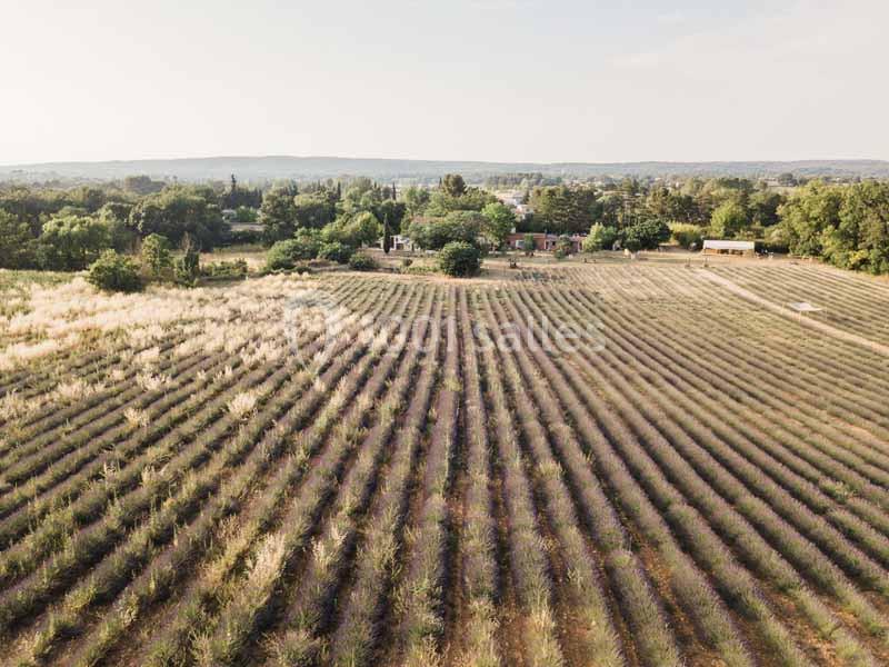 Location salle Aix-en-Provence (Bouches-du-Rhône) - Domaine Terre Ugo #3 Location salle Aix-en-Provence (Bouches-du-Rhône) - Domaine Terre Ugo #3