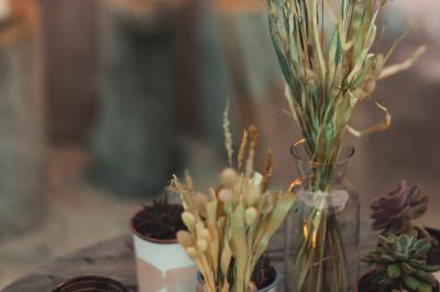 Miniature Location salle Soulac-sur-Mer (Gironde) - Les Frères Nicoll's #7 Location salle Soulac-sur-Mer (Gironde) - Les Frères Nicoll's #23