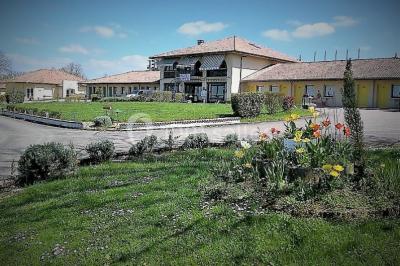 La Haie des Vignes - photo 1