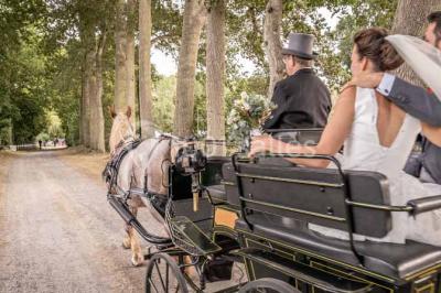 Miniature Location salle Saint-Denoual (Côtes-d'Armor) - La Guyomarais #5 Location salle Saint-Denoual (Côtes-d'Armor) - La Guyomarais #16