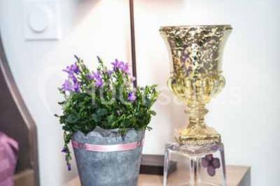 Location salle Bauné (Maine-et-Loire) - Château de Briançon #8