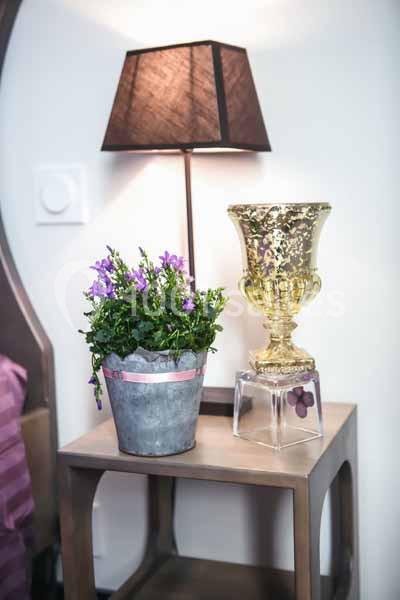 Location salle Bauné (Maine-et-Loire) - Château de Briançon #6