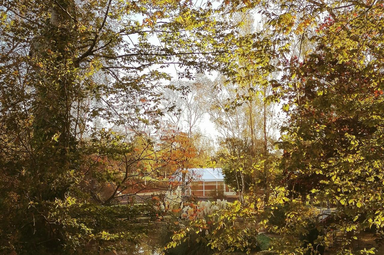 Le Moulin du Perron - galerie - photo 7