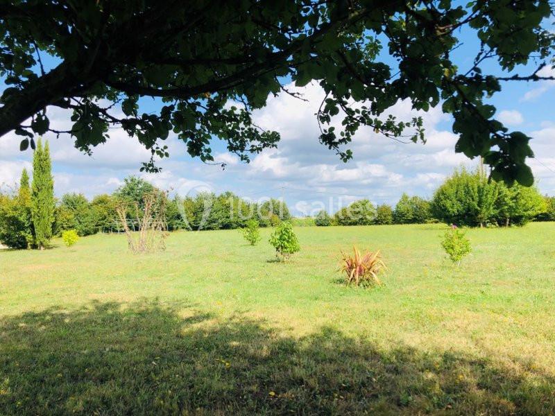 Domaine De La Ville Lesné - galerie - photo 8