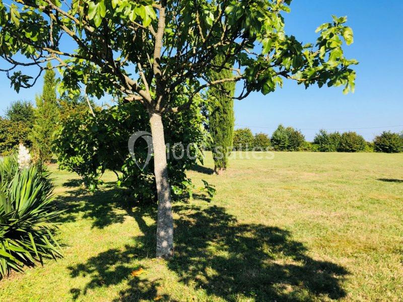 Domaine De La Ville Lesné - galerie - photo 10