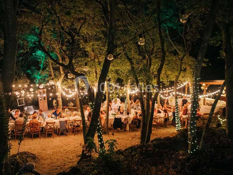 Location salle Sorède (Pyrénées-Orientales) - Mas Del Ca #21