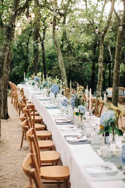 Location salle Sorède (Pyrénées-Orientales) - Mas Del Ca #19