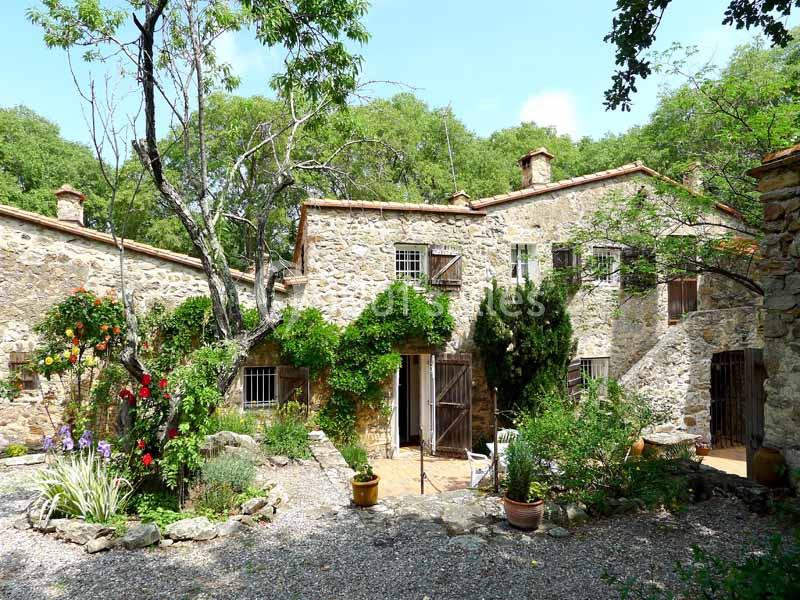 Location salle Sorède (Pyrénées-Orientales) - Mas Del Ca #5