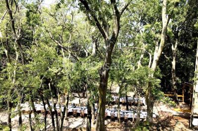 Location salle Sorède (Pyrénées-Orientales) - Mas Del Ca #24