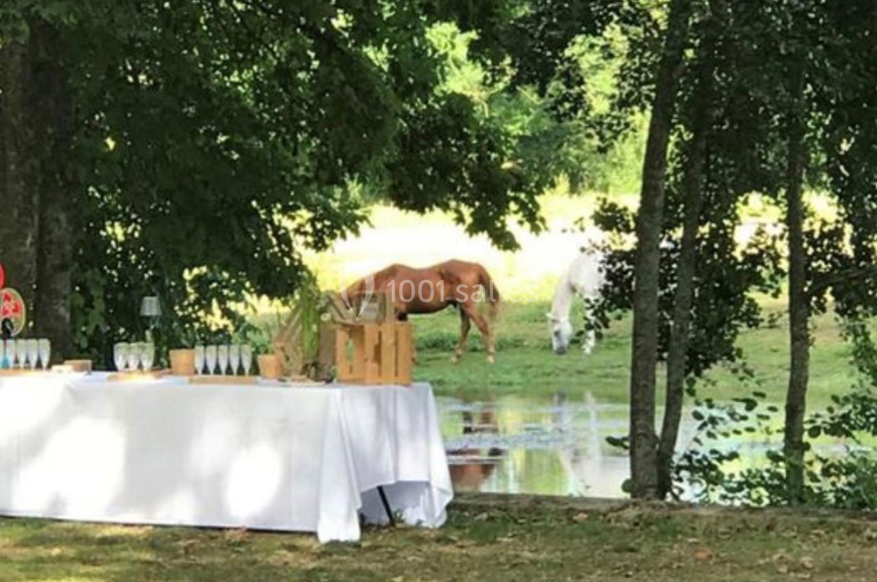 Deux chevaux broutent près d'un étang, à côté d'une table dressée en extérieur sous des arbres.