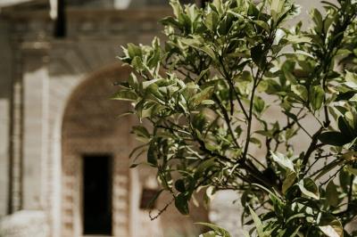 Location salle Mervent (Vendée) - Château de la Citardière #52