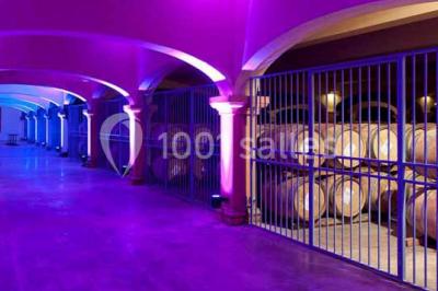 Tourisme Affaires Aude - photo 5
