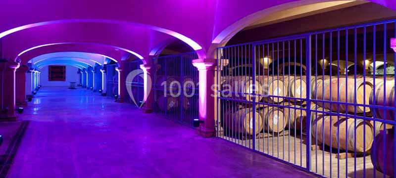 Tourisme Affaires Aude - galerie - photo 5