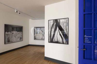 Location salle Lyon 1 (Rhône) - Manifesta #22