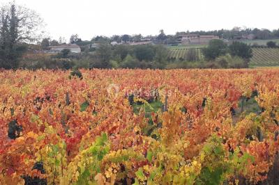 Location salle Saint-Jean-des-Vignes (Rhône) - Domaine Meryt #15