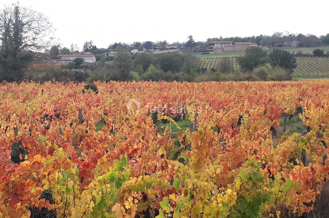 Location salle Saint-Jean-des-Vignes (Rhône) - Domaine Meryt #11