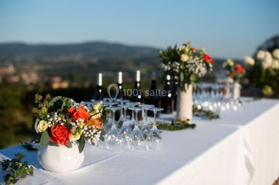 Location salle Saint-Jean-des-Vignes (Rhône) - Domaine Meryt #15