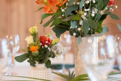 Location salle Saint-Jean-des-Vignes (Rhône) - Domaine Meryt #15