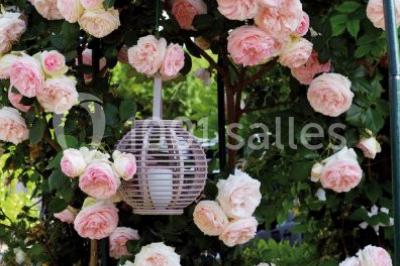 Location salle Bouafle (Yvelines) - Les Délices Ephémères  #23