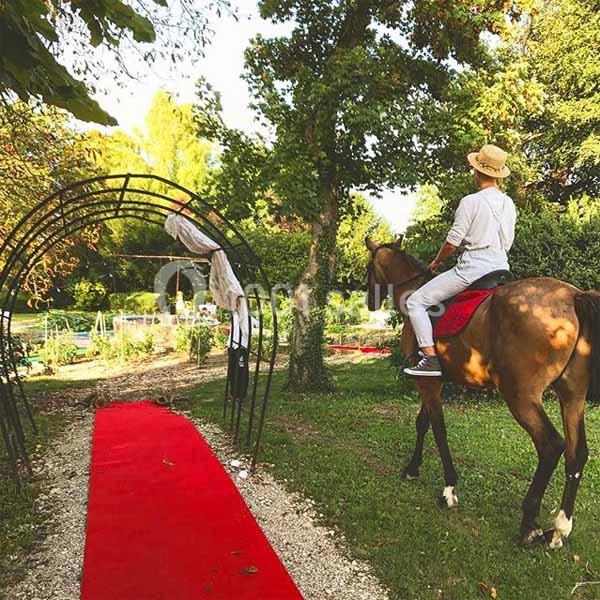 Location salle Tonnerre (Yonne) - L'abbaye Saint Michel #14