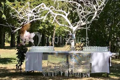 Miniature Location salle Tonnerre (Yonne) - L'abbaye Saint Michel #16 Location salle Tonnerre (Yonne) - L'abbaye Saint Michel #24